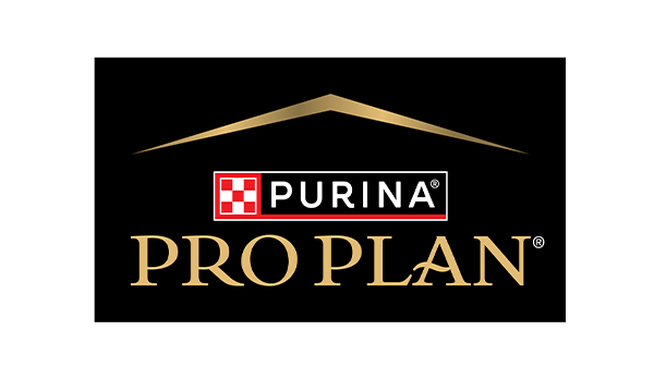 Pro Plan